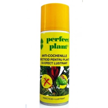 Spray Insecticid cu efect lustrant - Perfect Plant